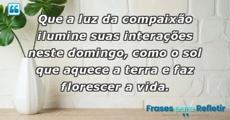 Que a luz da compaixão ilumine suas interações neste domingo, como o sol que aquece a terra e faz florescer a vida.