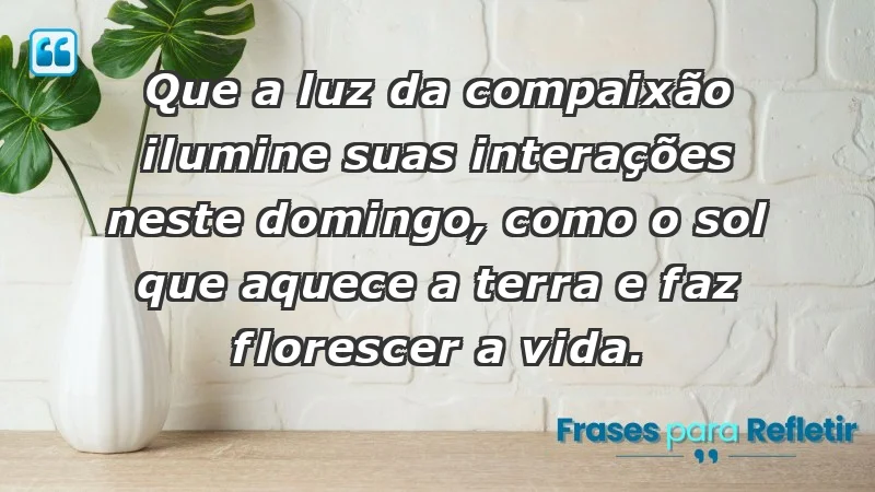 - Que a luz da compaixão ilumine suas interações neste domingo, como o sol que aquece a terra e faz florescer a vida.