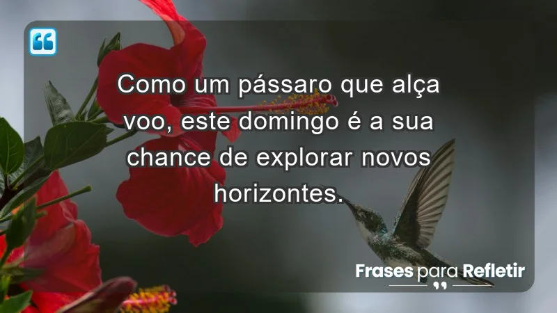 - Como um pássaro que alça voo, este domingo é a sua chance de explorar novos horizontes.