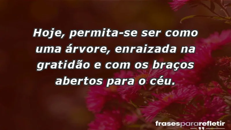 - Hoje, permita-se ser como uma árvore, enraizada na gratidão e com os braços abertos para o céu.