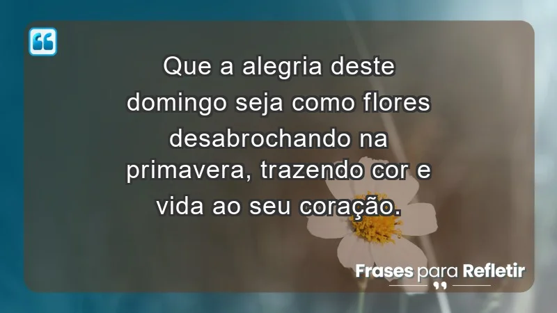 - Que a alegria deste domingo seja como flores desabrochando na primavera, trazendo cor e vida ao seu coração.