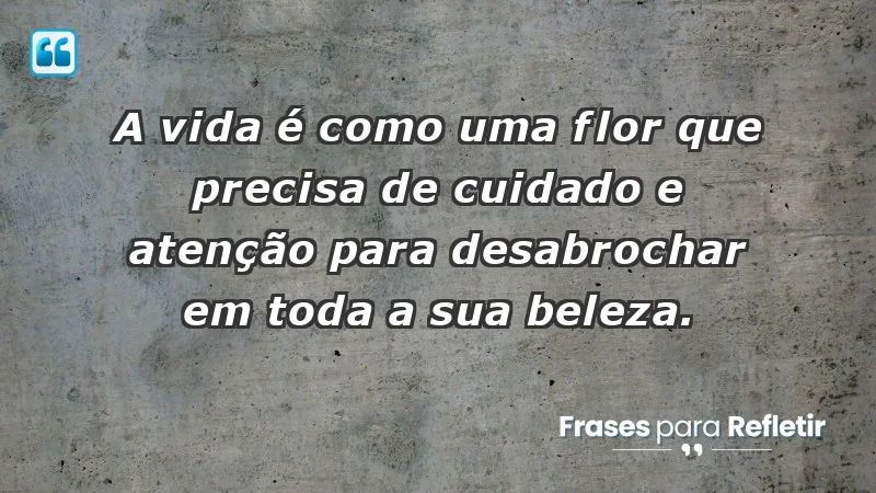 - A vida é como uma flor que precisa de cuidado e atenção para desabrochar em toda a sua beleza.