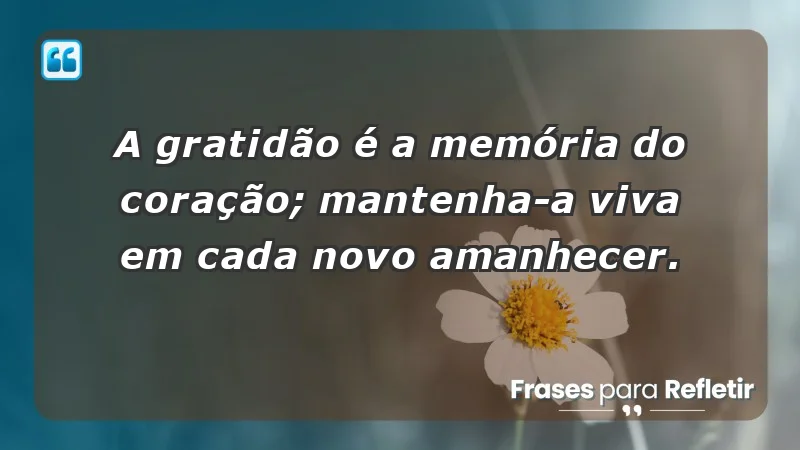 - A gratidão é a memória do coração; mantenha-a viva em cada novo amanhecer.