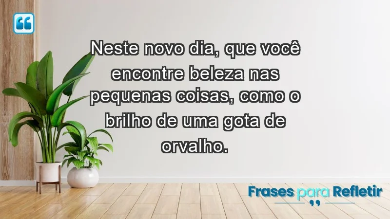 - Neste novo dia, que você encontre beleza nas pequenas coisas, como o brilho de uma gota de orvalho.