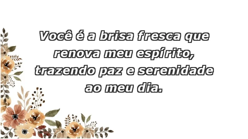 - Você é a brisa fresca que renova meu espírito, trazendo paz e serenidade ao meu dia.