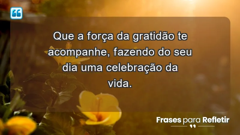 - Que a força da gratidão te acompanhe, fazendo do seu dia uma celebração da vida.