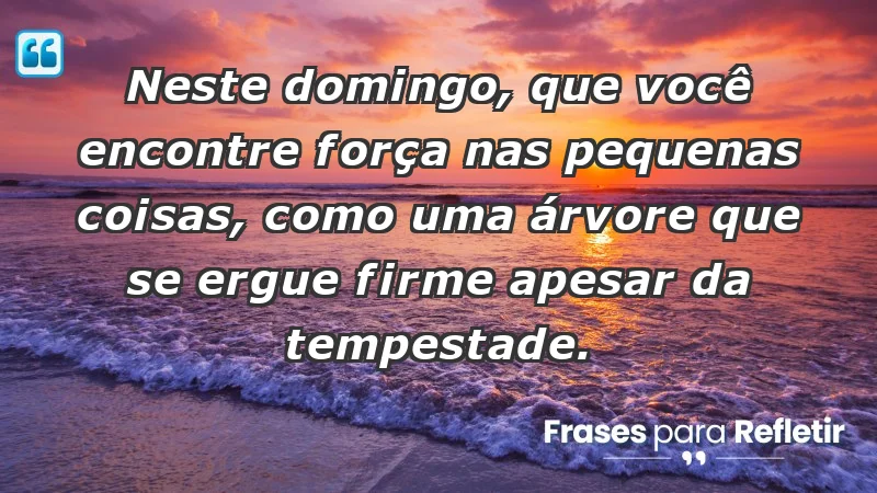 - Neste domingo, que você encontre força nas pequenas coisas, como uma árvore que se ergue firme apesar da tempestade.