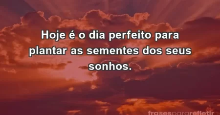Hoje é o dia perfeito para plantar as sementes dos seus sonhos.