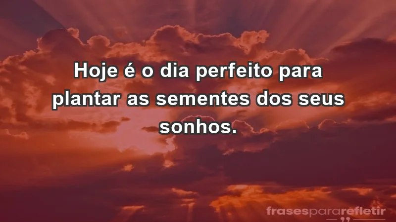 - Hoje é o dia perfeito para plantar as sementes dos seus sonhos.