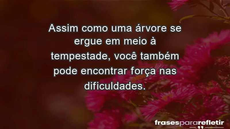 - Assim como uma árvore se ergue em meio à tempestade, você também pode encontrar força nas dificuldades.