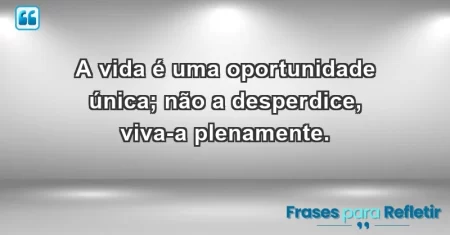 A vida é uma oportunidade única; não a desperdice, viva-a plenamente.