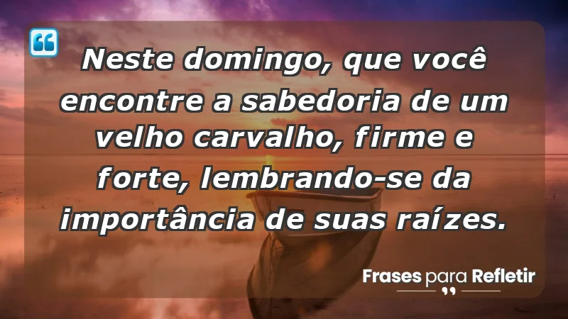 - Neste domingo, que você encontre a sabedoria de um velho carvalho, firme e forte, lembrando-se da importância de suas raízes.