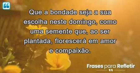 Que a bondade seja a sua escolha neste domingo, como uma semente que, ao ser plantada, florescerá em amor e compaixão.