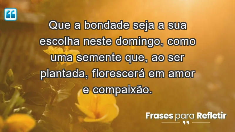 - Que a bondade seja a sua escolha neste domingo, como uma semente que, ao ser plantada, florescerá em amor e compaixão.