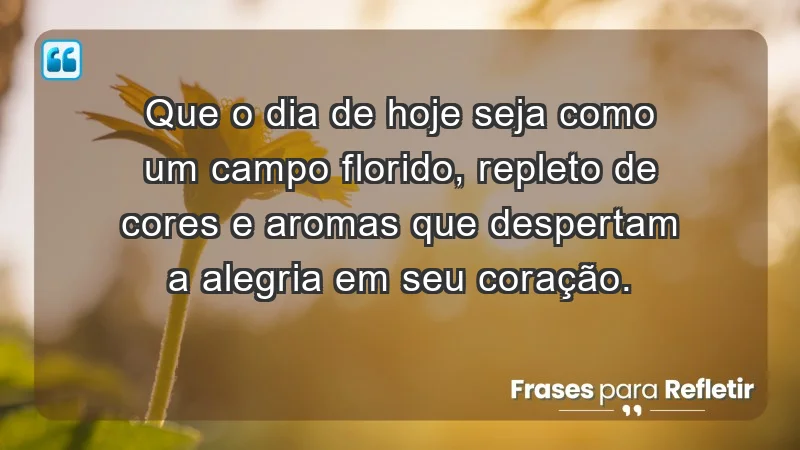 - Que o dia de hoje seja como um campo florido, repleto de cores e aromas que despertam a alegria em seu coração.