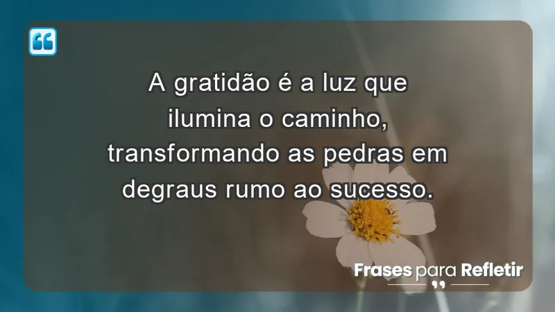 - A gratidão é a luz que ilumina o caminho, transformando as pedras em degraus rumo ao sucesso.