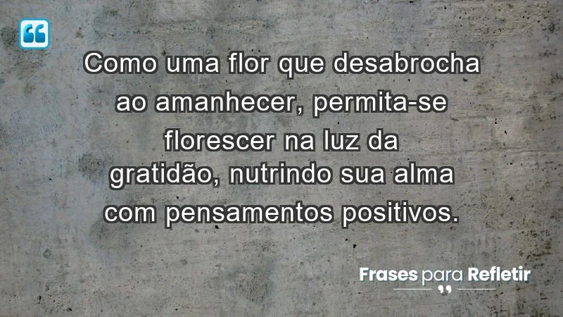 - Como uma flor que desabrocha ao amanhecer, permita-se florescer na luz da gratidão, nutrindo sua alma com pensamentos positivos.