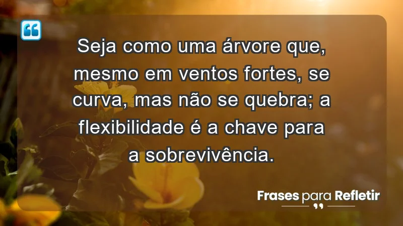 - Seja como uma árvore que, mesmo em ventos fortes, se curva, mas não se quebra; a flexibilidade é a chave para a sobrevivência.