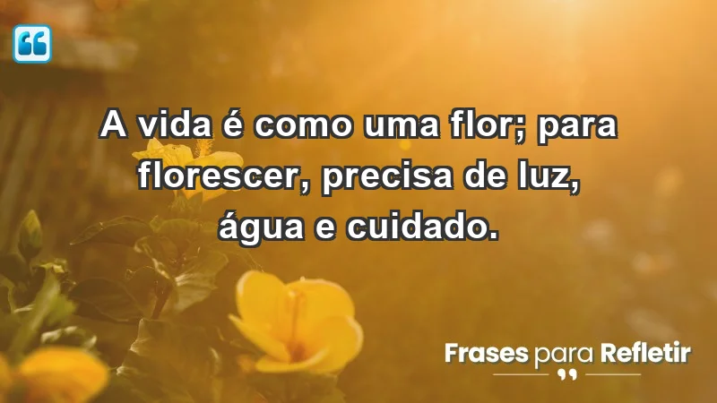 - A vida é como uma flor; para florescer, precisa de luz, água e cuidado.