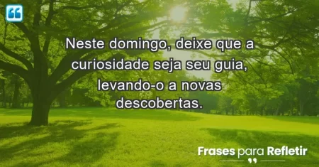 Neste domingo, deixe que a curiosidade seja seu guia, levando-o a novas descobertas.