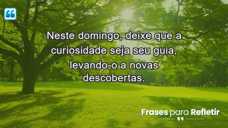 - Neste domingo, deixe que a curiosidade seja seu guia, levando-o a novas descobertas.