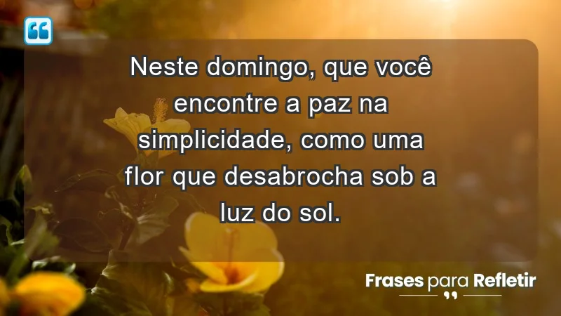 - Neste domingo, que você encontre a paz na simplicidade, como uma flor que desabrocha sob a luz do sol.