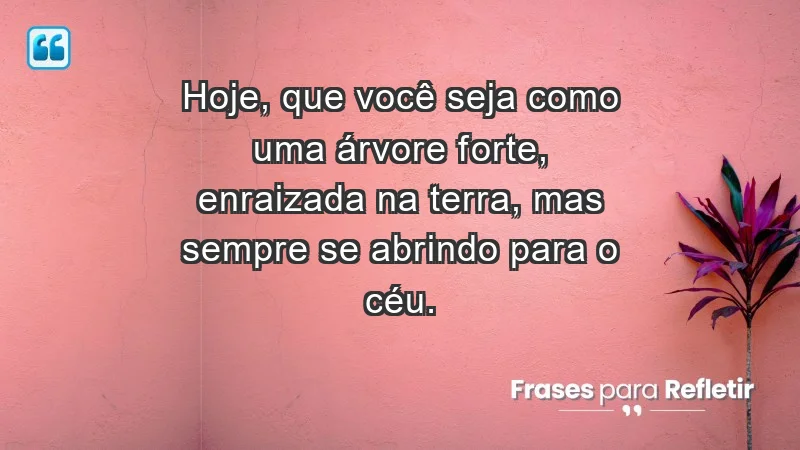 - Hoje, que você seja como uma árvore forte, enraizada na terra, mas sempre se abrindo para o céu.