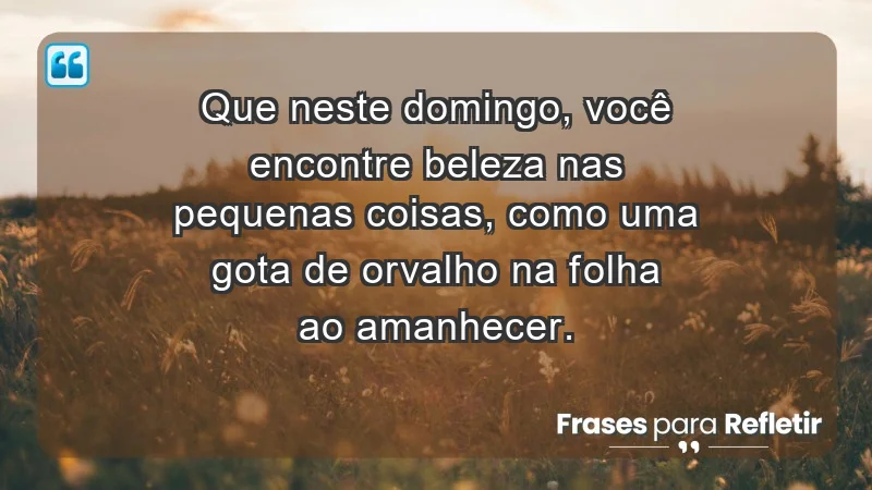 - Que neste domingo, você encontre beleza nas pequenas coisas, como uma gota de orvalho na folha ao amanhecer.