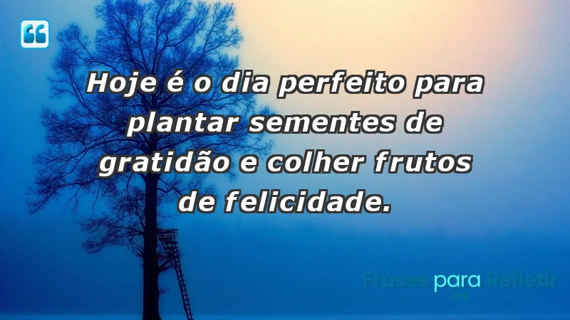 - Hoje é o dia perfeito para plantar sementes de gratidão e colher frutos de felicidade.