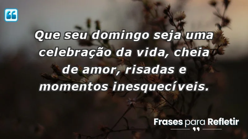 - Que seu domingo seja uma celebração da vida, cheia de amor, risadas e momentos inesquecíveis.