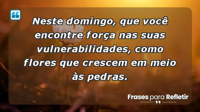 - Neste domingo, que você encontre força nas suas vulnerabilidades, como flores que crescem em meio às pedras.