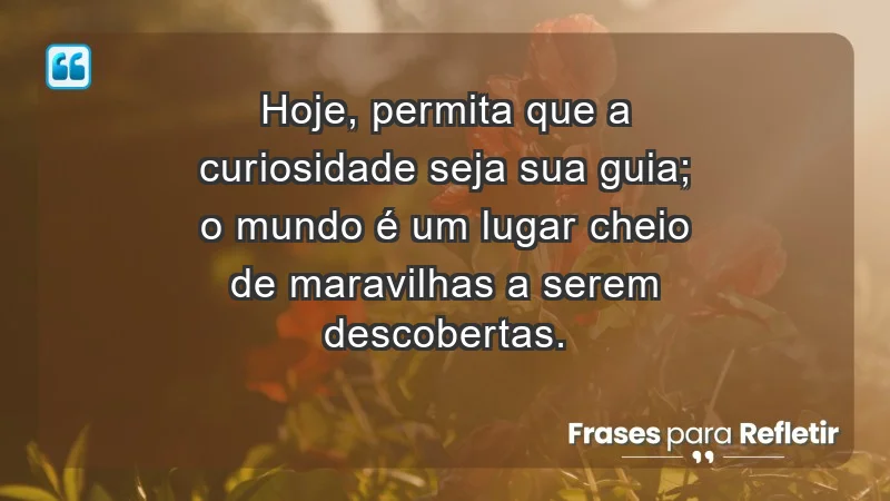 - Hoje, permita que a curiosidade seja sua guia; o mundo é um lugar cheio de maravilhas a serem descobertas.