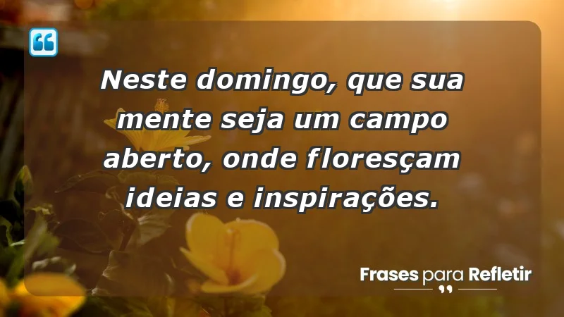 - Neste domingo, que sua mente seja um campo aberto, onde floresçam ideias e inspirações.