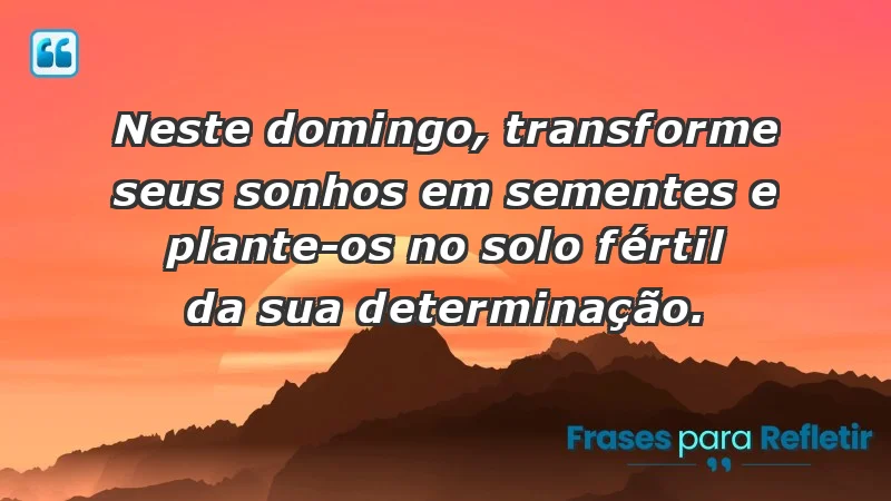 - Neste domingo, transforme seus sonhos em sementes e plante-os no solo fértil da sua determinação.