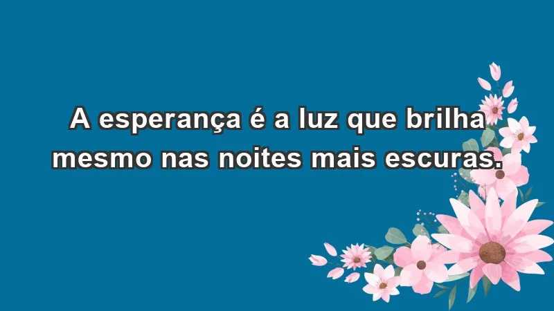 - A esperança é a luz que brilha mesmo nas noites mais escuras.