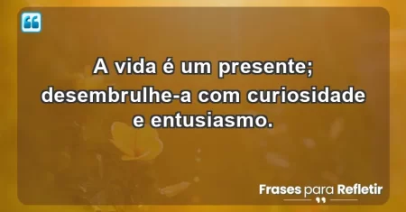A vida é um presente; desembrulhe-a com curiosidade e entusiasmo.