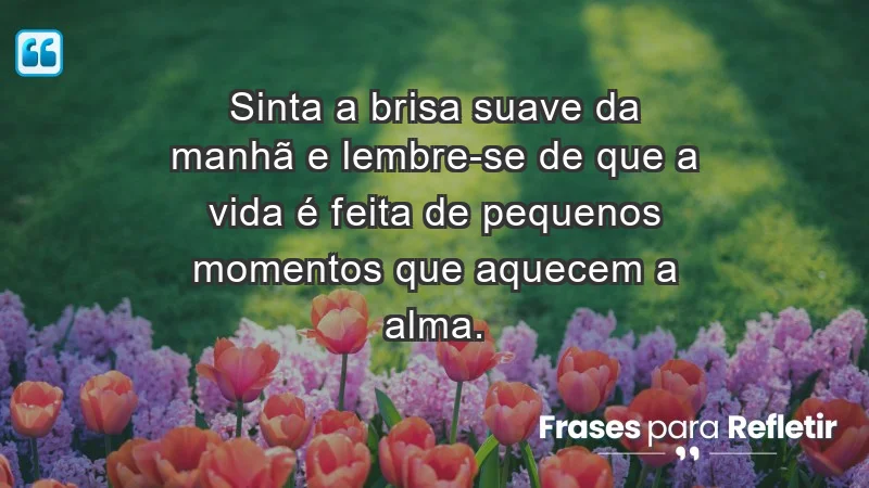 - Sinta a brisa suave da manhã e lembre-se de que a vida é feita de pequenos momentos que aquecem a alma.