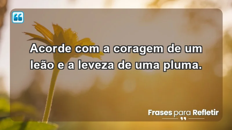 - Acorde com a coragem de um leão e a leveza de uma pluma.