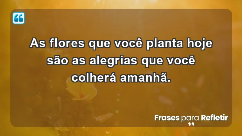 - As flores que você planta hoje são as alegrias que você colherá amanhã.