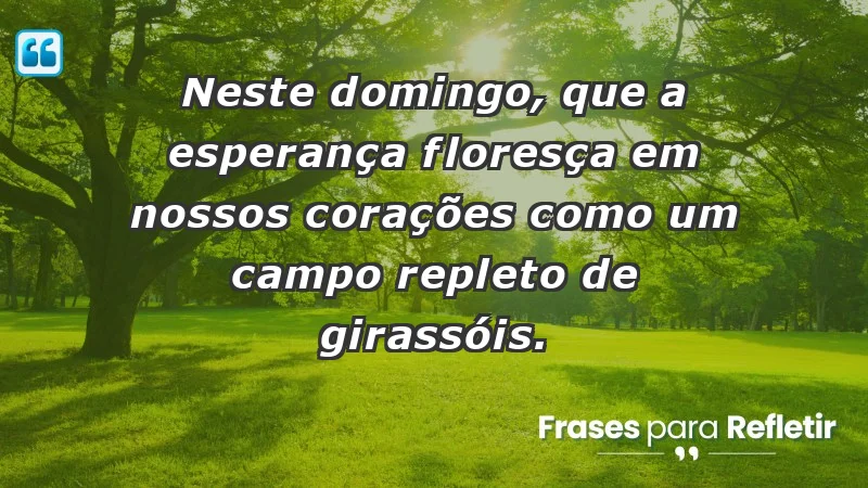 - Neste domingo, que a esperança floresça em nossos corações como um campo repleto de girassóis.