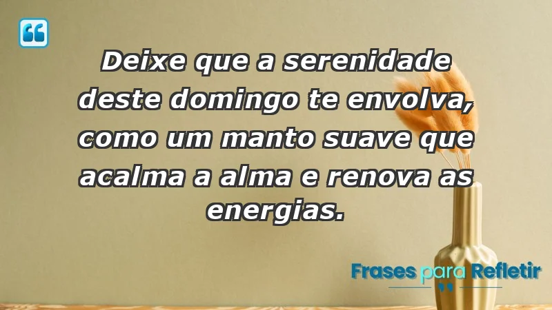 - Deixe que a serenidade deste domingo te envolva, como um manto suave que acalma a alma e renova as energias.