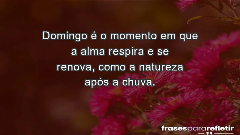 - Domingo é o momento em que a alma respira e se renova, como a natureza após a chuva.