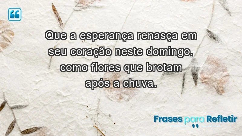 - Que a esperança renasça em seu coração neste domingo, como flores que brotam após a chuva.