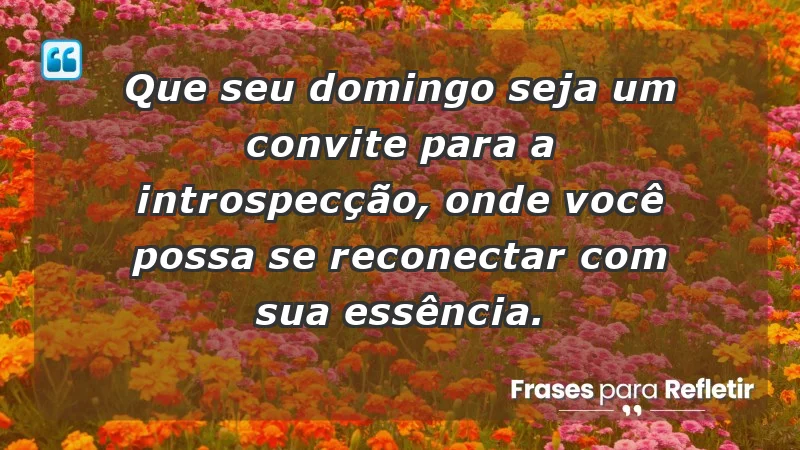 - Que seu domingo seja um convite para a introspecção, onde você possa se reconectar com sua essência.