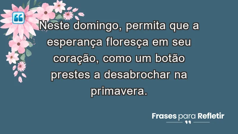 - Neste domingo, permita que a esperança floresça em seu coração, como um botão prestes a desabrochar na primavera.