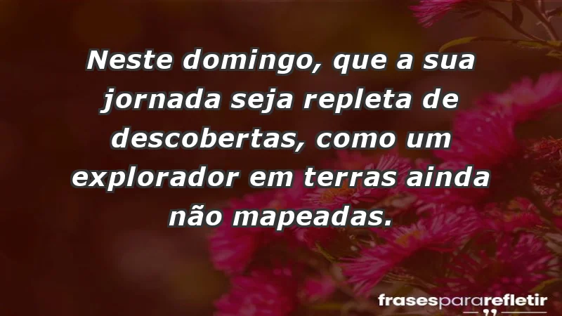 - Neste domingo, que a sua jornada seja repleta de descobertas, como um explorador em terras ainda não mapeadas.