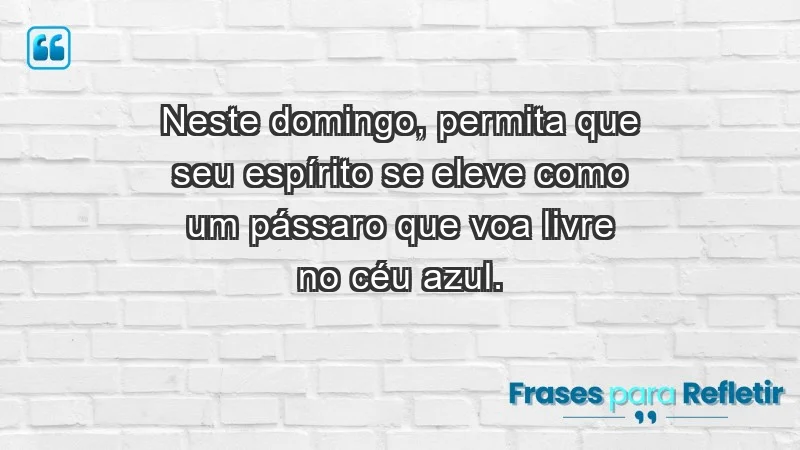 - Neste domingo, permita que seu espírito se eleve como um pássaro que voa livre no céu azul.