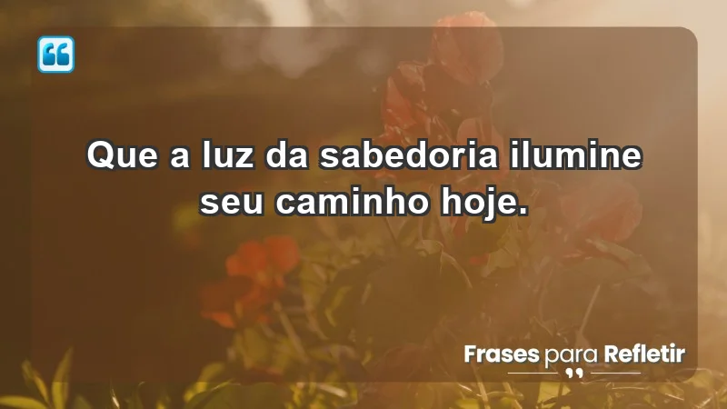 - Que a luz da sabedoria ilumine seu caminho hoje.