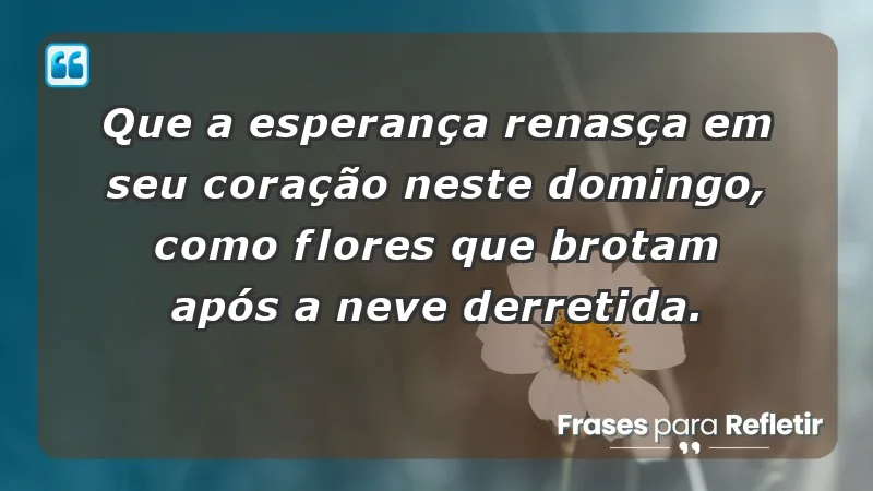 - Que a esperança renasça em seu coração neste domingo, como flores que brotam após a neve derretida.