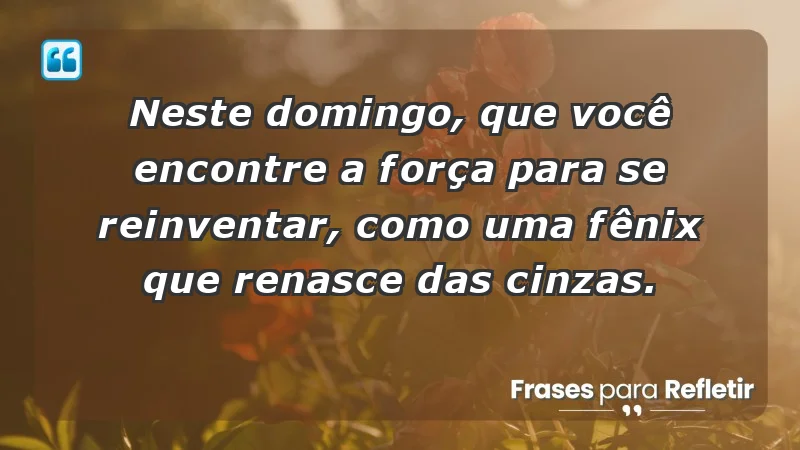 - Neste domingo, que você encontre a força para se reinventar, como uma fênix que renasce das cinzas.